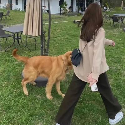 猫之茗第二季